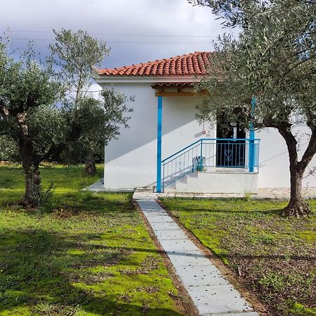 Coral Villas Kómboi Zewnętrze zdjęcie